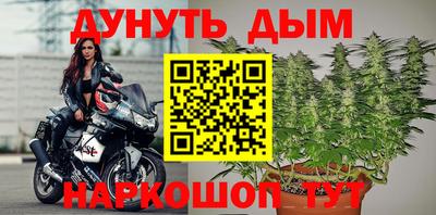 наркотики Гатчина