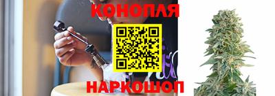 прущие крисы Гагарин