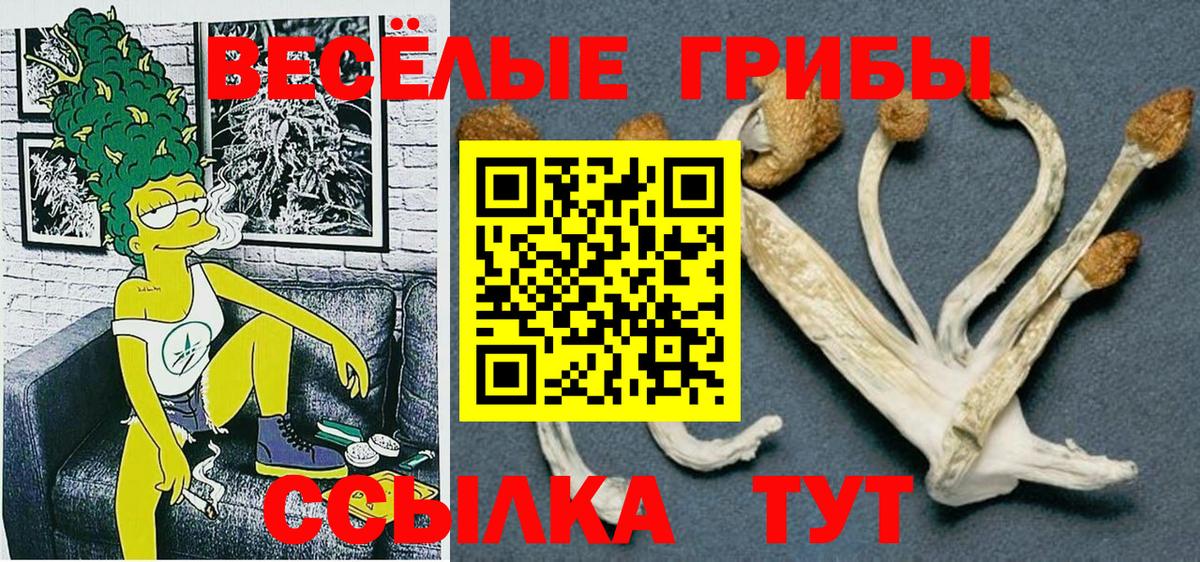 Галлюциногенные грибы прущие грибы Мыски